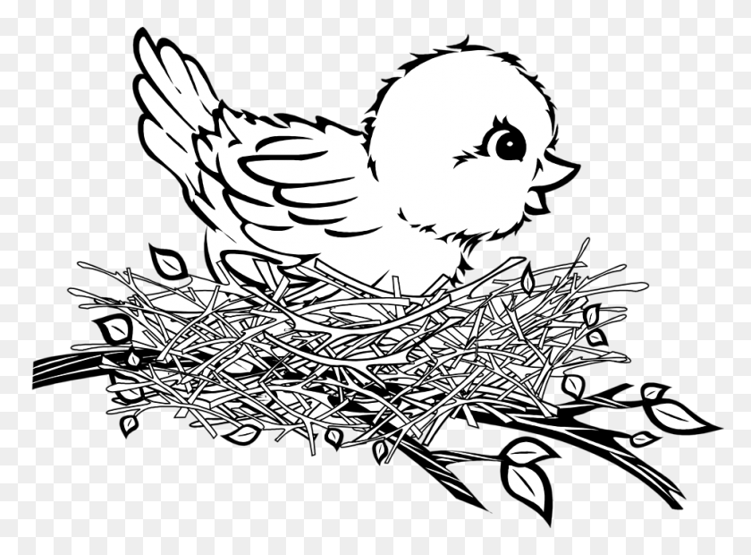 958x688 Nest Clipart Bird's Nest, Nest Bird's Nest Transparente Gratis - Baby Bird Clipart Blanco Y Negro