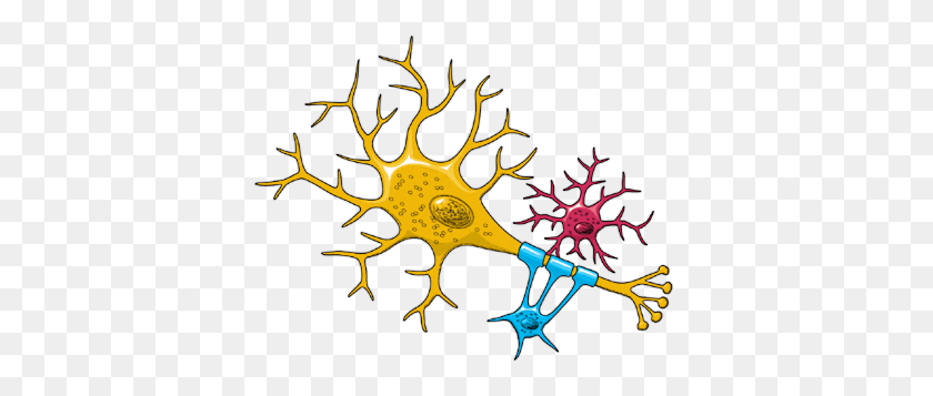 400x297 Neuron - Neuron Clipart