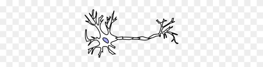 300x156 Neuron - Neurons PNG