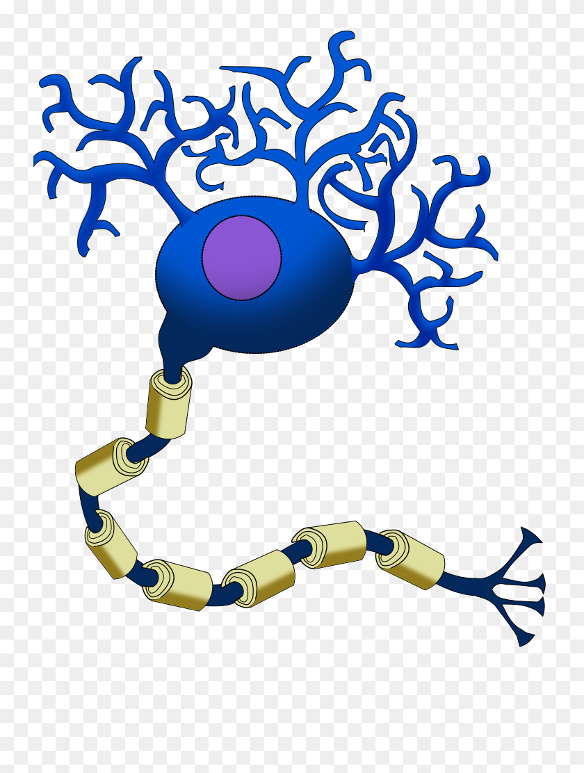 744x1052 Neurona De Dibujos Animados - Neurona Png