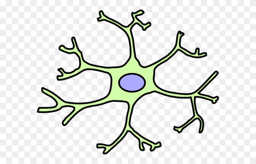 600x481 Neuron Clipart Astrocyte - Inflamación Clipart