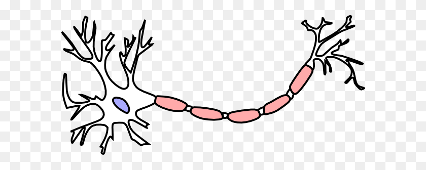600x276 Neuron Clipart Clip Art - Cell Clipart