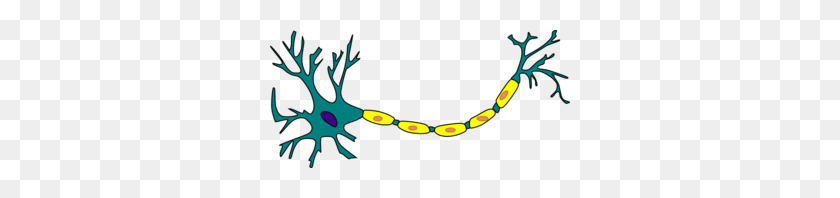 300x138 Neuron Drawing Clip Art - Neuron Clipart