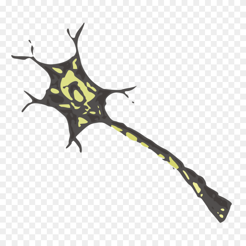 800x800 Neuron Free Download Png Vector - Neurons PNG