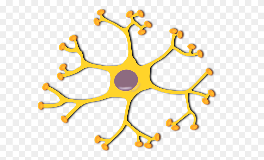 600x449 Neuronas Interneuronas Clipart - Neuronas Png