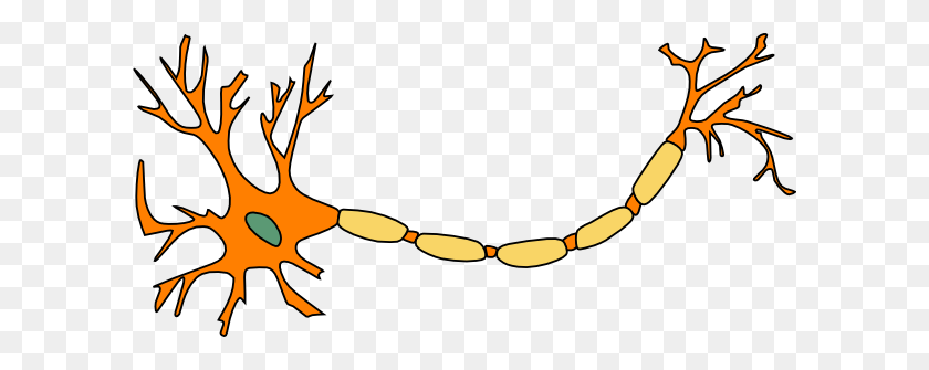 600x275 Neuron Orange Clip Art - Neuron Clipart