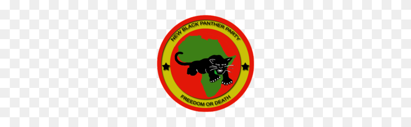 200x200 New Black Panther Party - Black Panther PNG