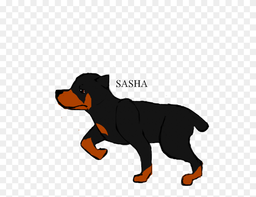 800x600 New Character - Rottweiler PNG