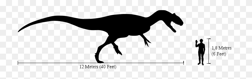 730x205 Nuevos Datos Para Huesos Viejos Cómo El Famoso Dinosaurio Cleveland Lloyd - Dinosaur Fossil Clipart