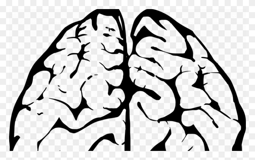 800x480 Nuevos Conocimientos Sobre La Forma En Que El Cerebro Combina Los Recuerdos Para Resolver - Neuronas Png