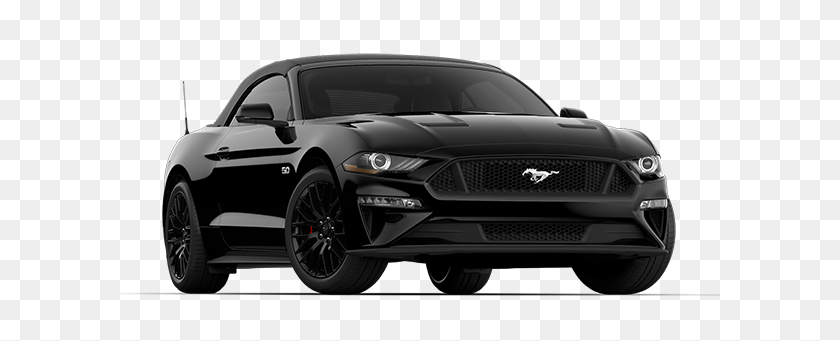 600x281 New Mustang Parks Ford Of Wesley Chapel Fl Concesionario - Mustang Png
