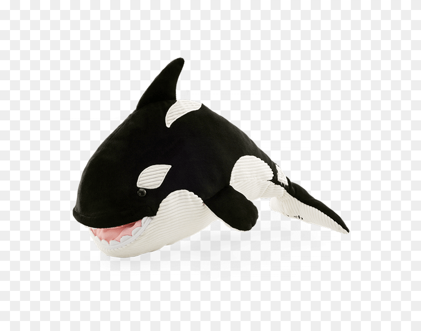 600x600 ¡Nuevo! Ory The Orca Whale Scentsy Buddy Comprar En Línea - Killer Whale Png
