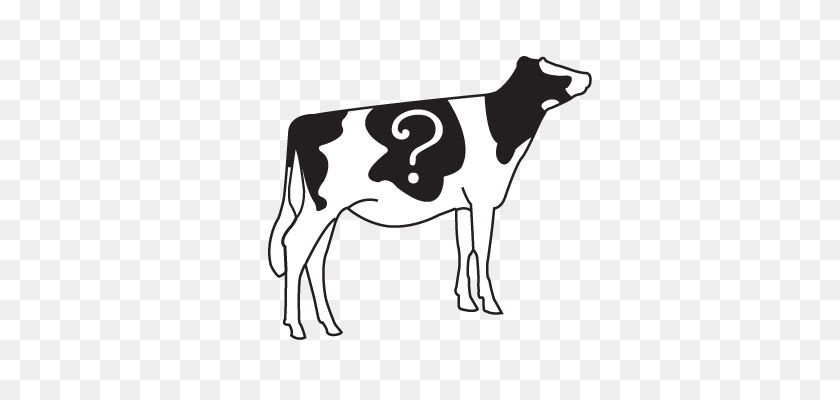 454x340 New Zealand Holstein Friesian Association - Holstein Cow Clipart