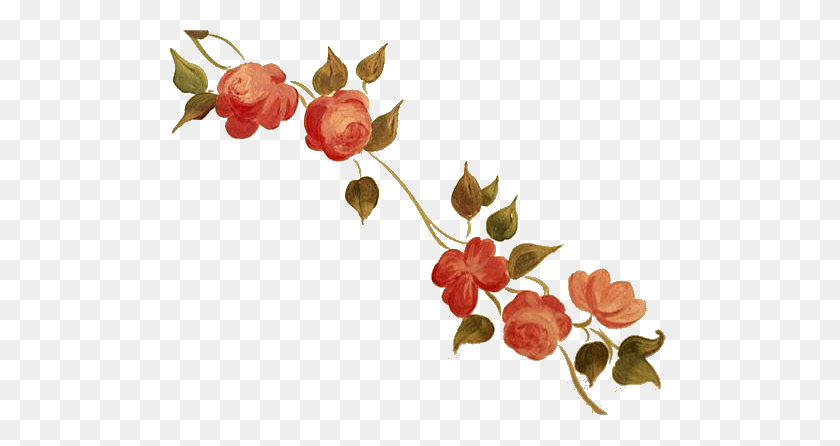 536x386 Newsletters - Rose Vine PNG