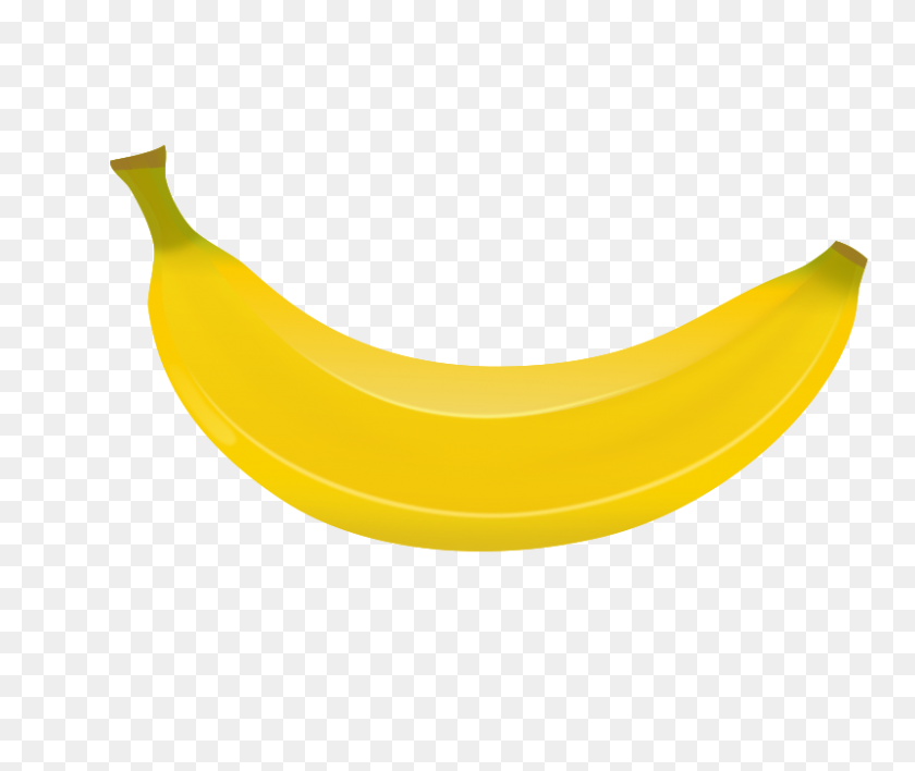 800x665 Bonito Gráfico De Plátano - Imágenes Prediseñadas De Árbol De Plátano