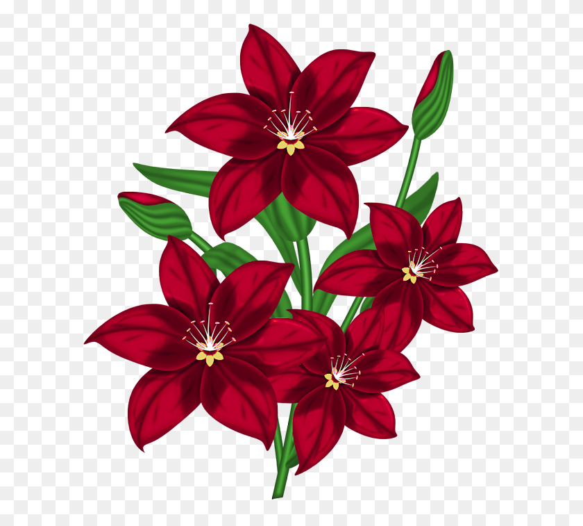 629x697 Красивый Красный Цветок Png - Красный Цветок Png