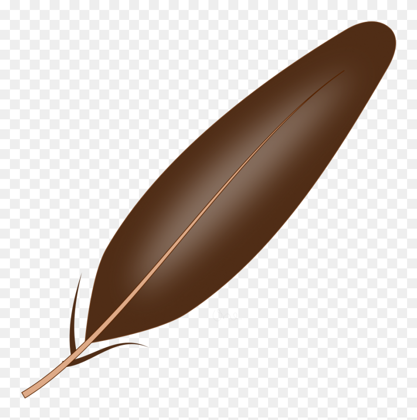 894x900 Njiwa Feather Png Clip Arts For Web - Black Feathers PNG