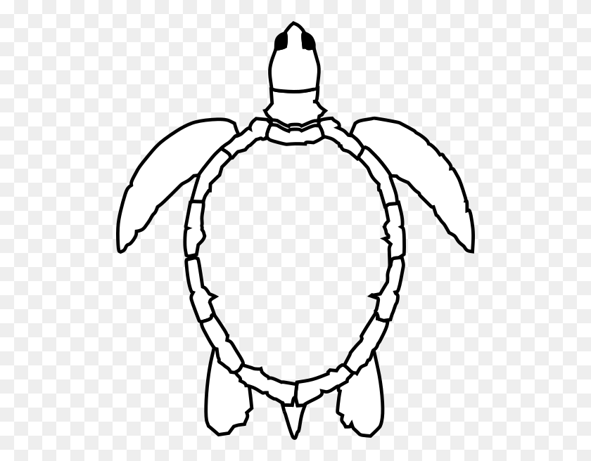 510x596 No Shell Sea Turtle Clip Art - Sea Turtle Clipart