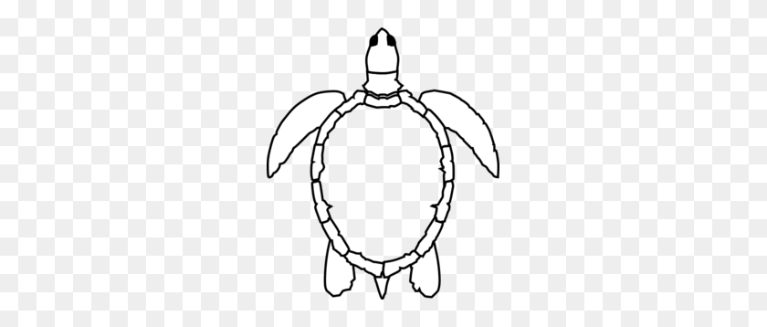 255x298 No Shell Sea Turtle Clip Art - Shell Clipart