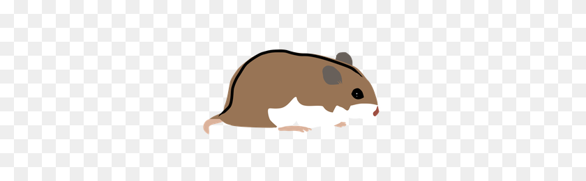 290x200 Normal Chinese Hamster - Hamster PNG