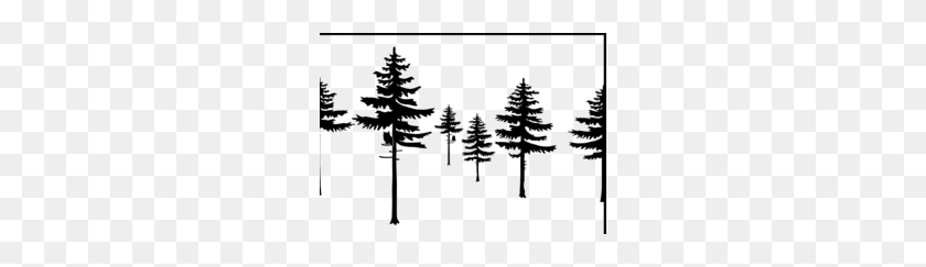 260x183 Norway Spruce Clipart - Evergreen Tree Clipart Black And White