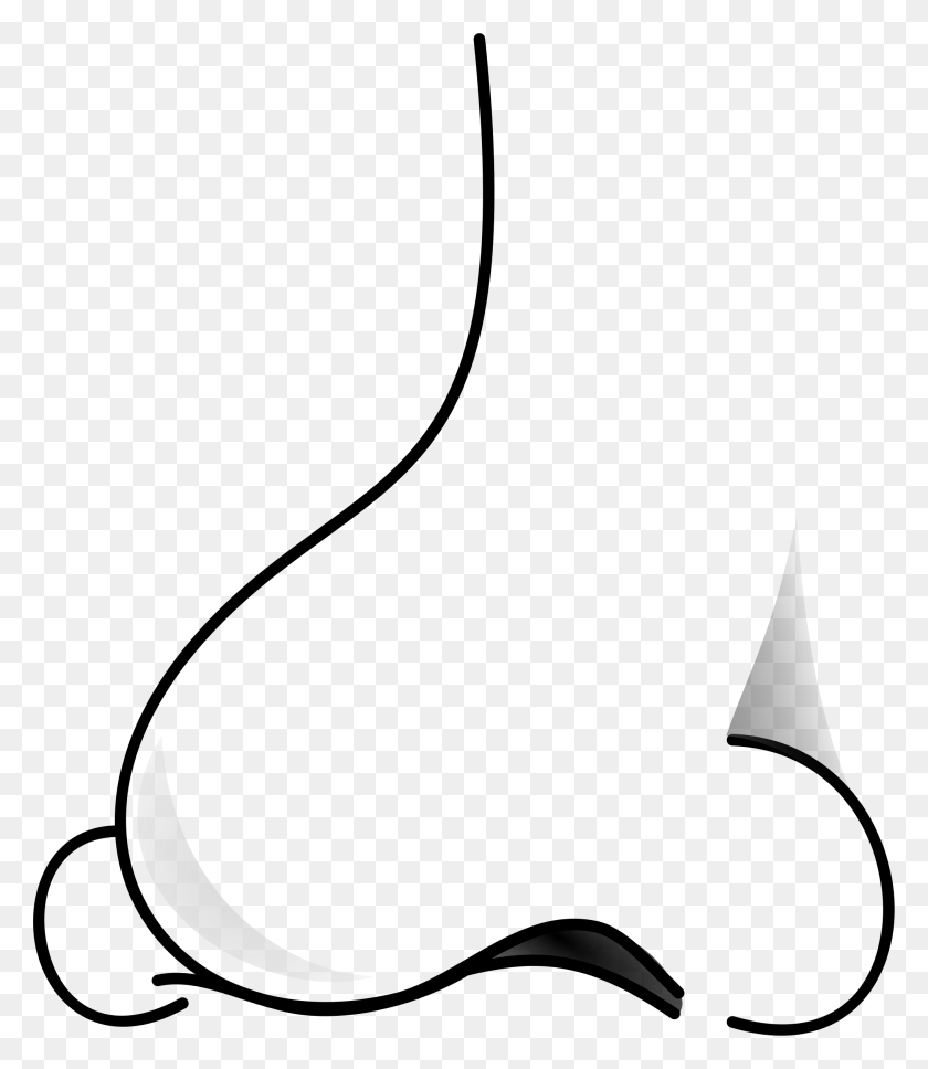 2027x2360 Nose Icons Png - Nose PNG