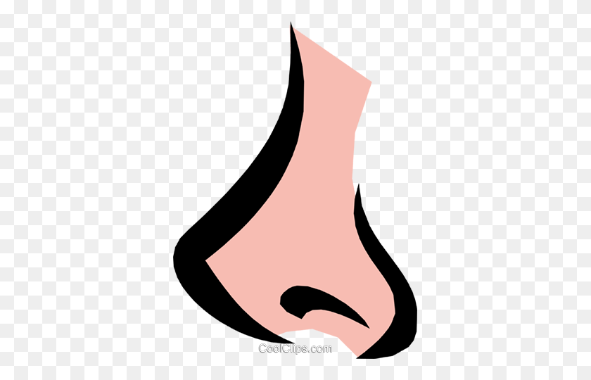 347x480 Nose Royalty Free Vector Clip Art Illustration - Nose Clipart PNG