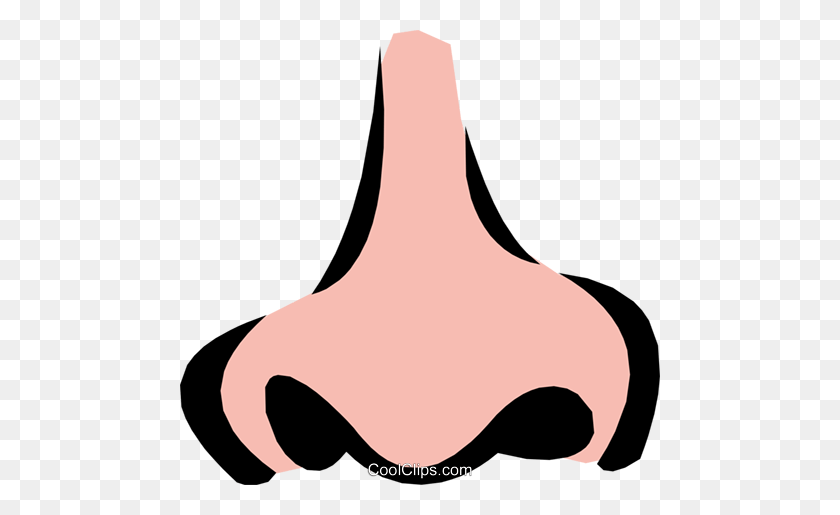 480x455 Nose Royalty Free Vector Clip Art Illustration - Nose Clipart PNG