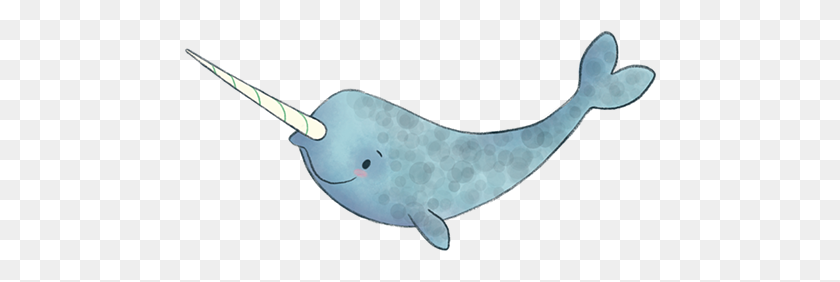 472x222 Not Quite Narwhal - Narwhal PNG