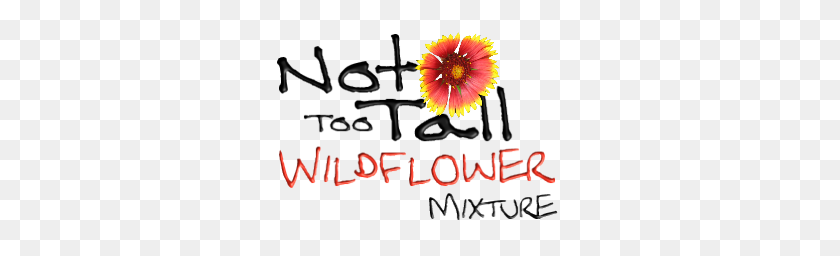 300x196 Not Too Tall Wildflower Mix - Wildflowers PNG