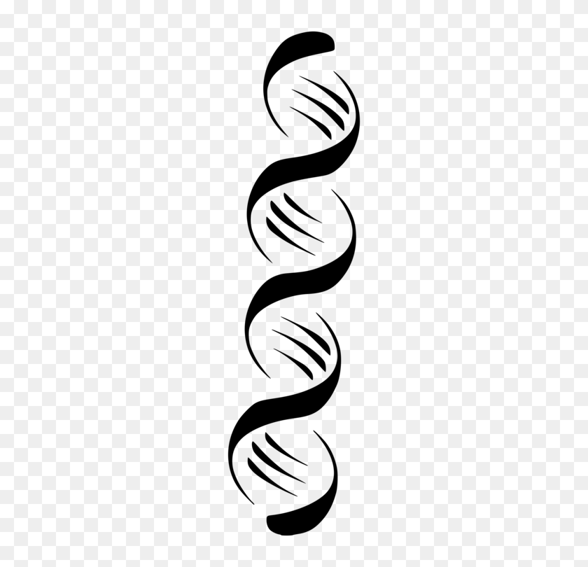 750x750 Nucleic Acid Double Helix A Dna Computer Icons - Double Helix Clipart