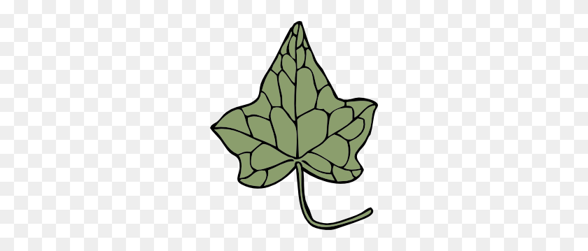240x299 Oak Ivy Leaf Clip Art - Fig Clipart