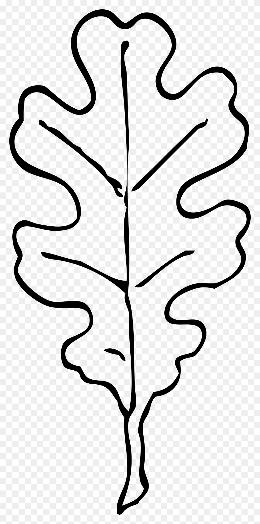 3333x6960 Oak Leaf Clip Art - Sketch Clipart