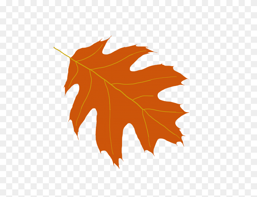 4608x3456 Oak Leaf Clipart - Tree Leaves Clipart