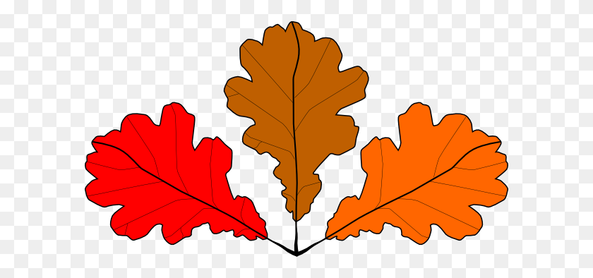 600x334 Oak Leaves Png, Clip Art For Web - Maple Leaf Clipart Black And White