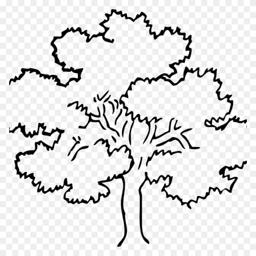 1024x1024 Oak Tree Clip Art Vector Of Oaktree With Wide Treetop Public - Tree Top Clipart