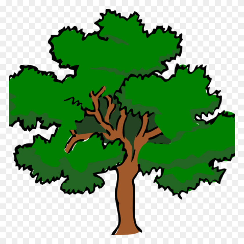1024x1024 Oak Tree Clip Art Vector Of Oaktree With Wide Treetop Public - Wide Clipart