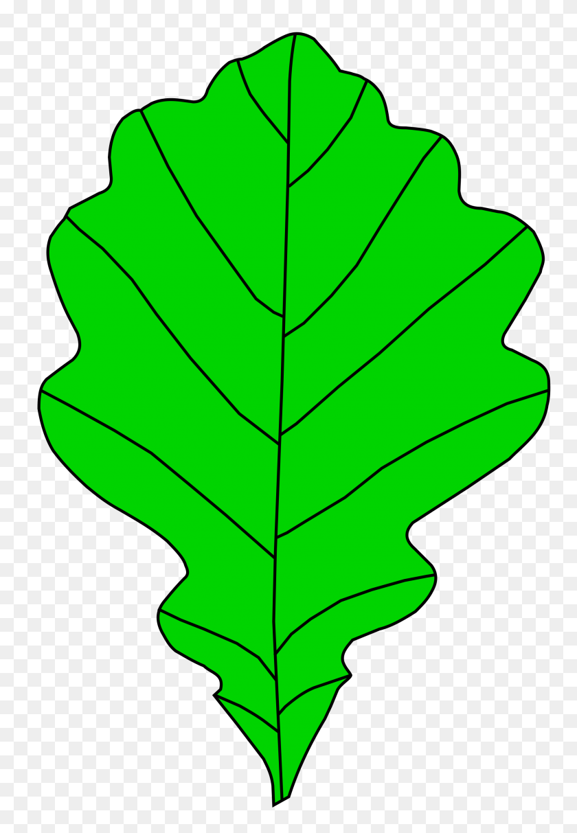 Листик дуба символ