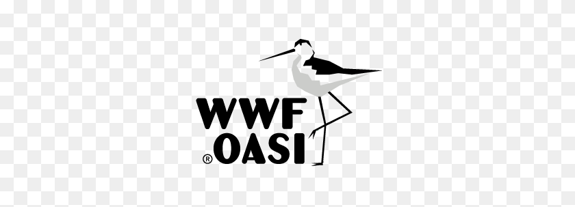 300x243 Oasi Wwf Monte Arcosu Wwf Oasi - Logotipo De La Wwf Png