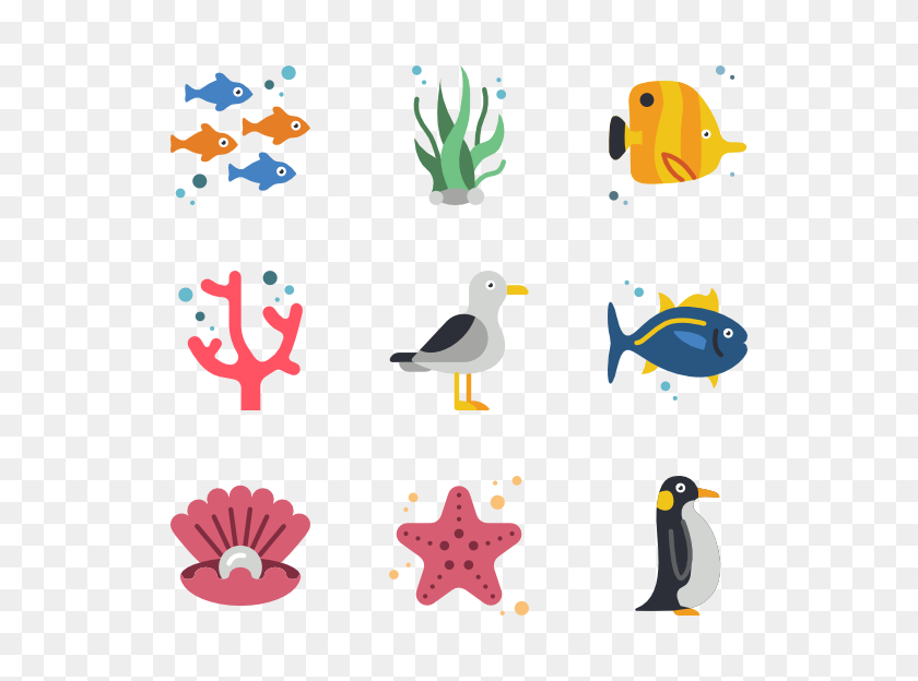600x564 Иконки Животных Океана - Животные Океана Клипарт