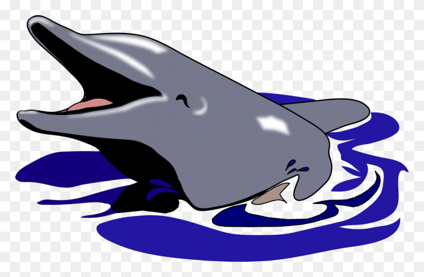 1192x750 Oceanic Dolphin Drawing Common Bottlenose Dolphin Computer Icons - Porpoise Clipart