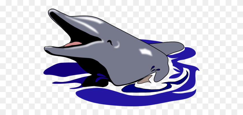 540x340 Oceanic Dolphin Porpoise Post Cards Greeting Note Cards Free - Miami Dolphins Clipart