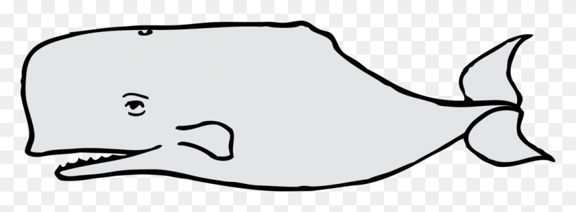 1057x340 Рисунок Усами Океанического Дельфина И Морской Свиньи - Черно-Белый Клипарт Дельфин
