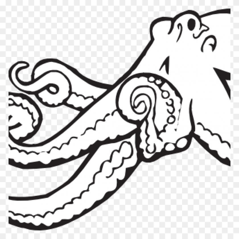 1024x1024 Octopus Clipart Black And White Marine Life Outline Color - Octopus Clipart