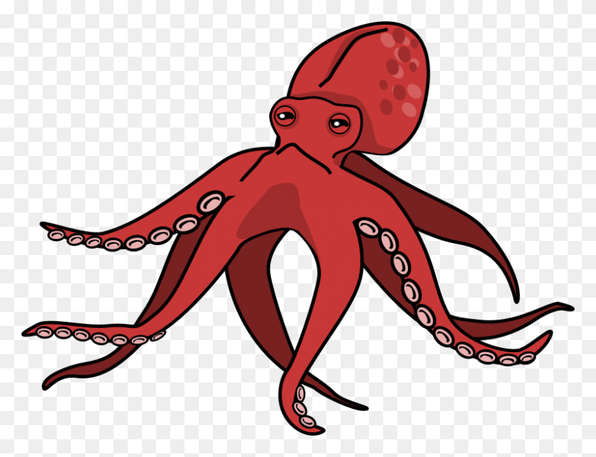 800x600 Octopus Clipart Project Octopus, Cartoon - Clipart De Criaturas Marinas En Blanco Y Negro
