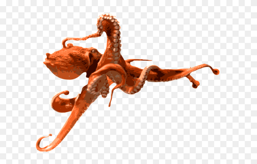 640x475 Octopus Png Transparent Images - Octopus PNG