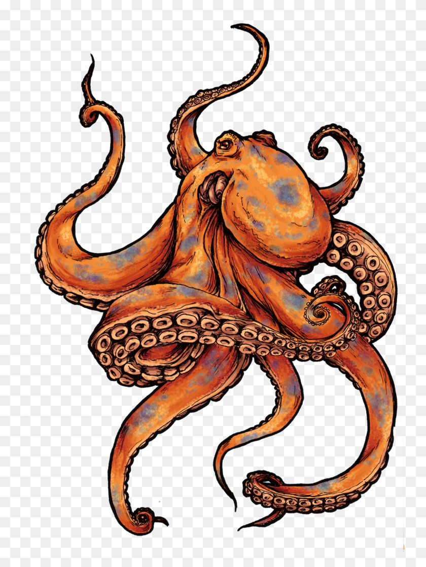 754x1058 Octopus Tattoos Designs And Pictures Octopus Tattoo Designs - Giant Squid Clipart