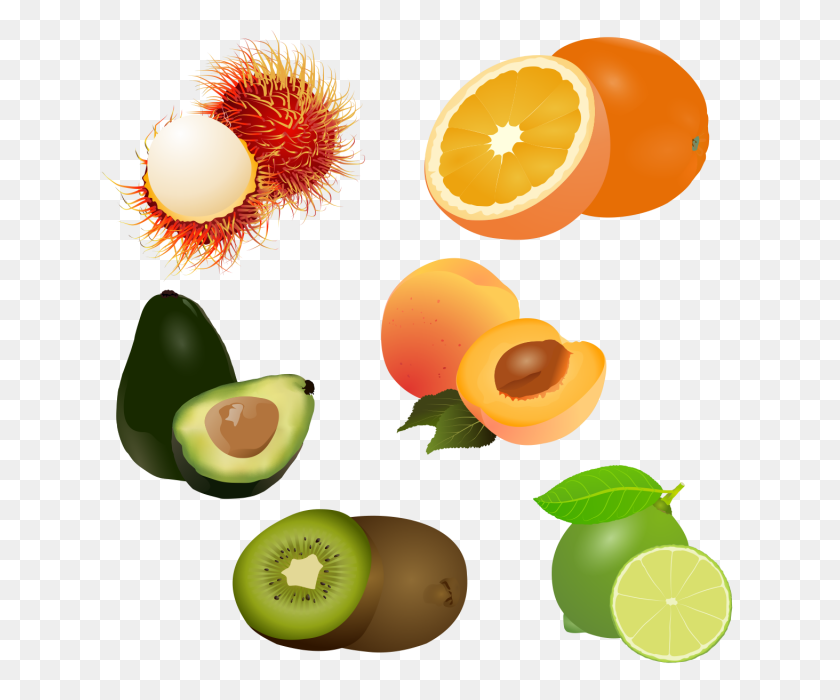 640x640 Of Fruit Set Drawing Stock, Fruit Logo, Set Clipart - Grapefruit Clipart