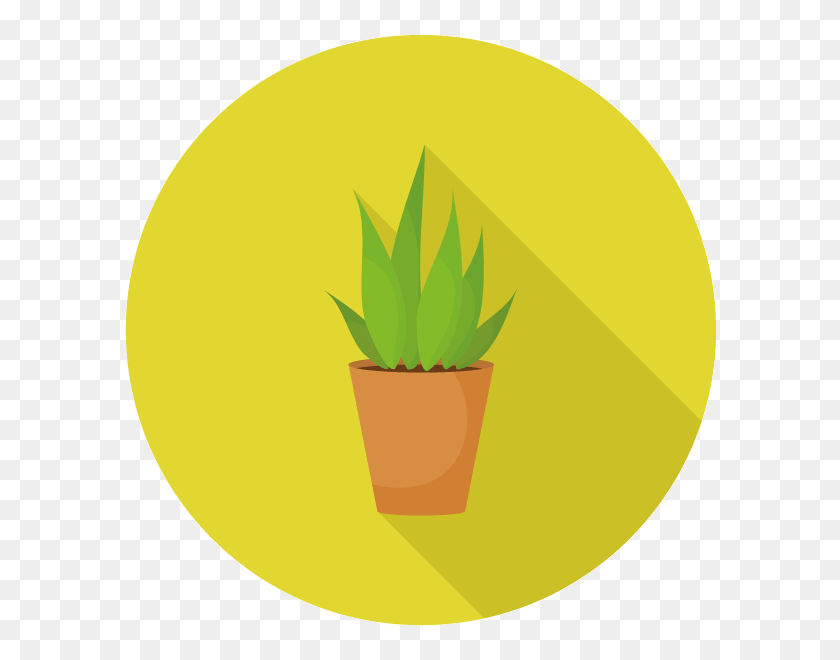 600x600 Office Plant Rental For Businesses - Hanging Plant PNG