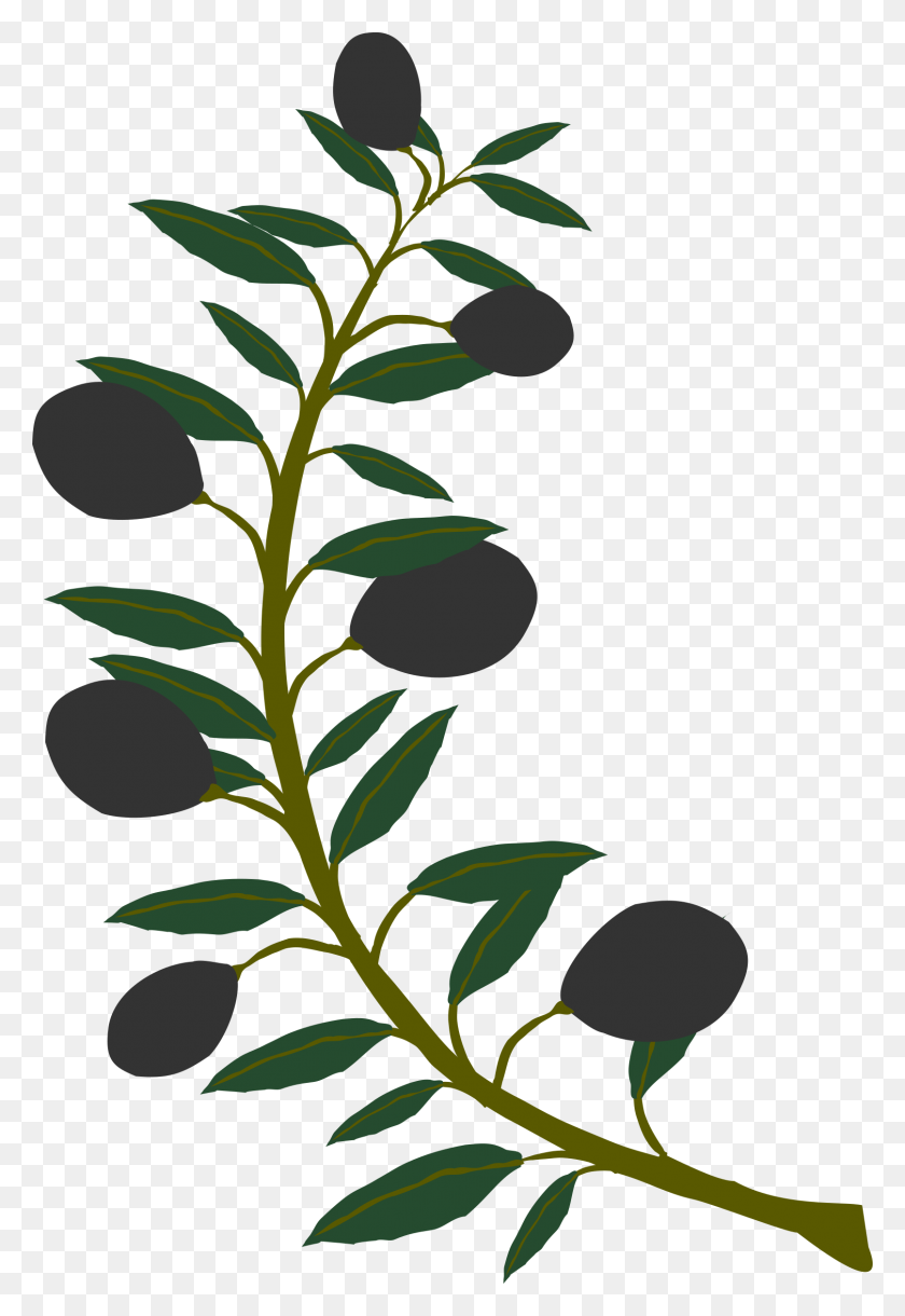 1613x2400 Оливковая Ветвь Черные Оливковые Иконки Png - Оливковая Ветвь Png